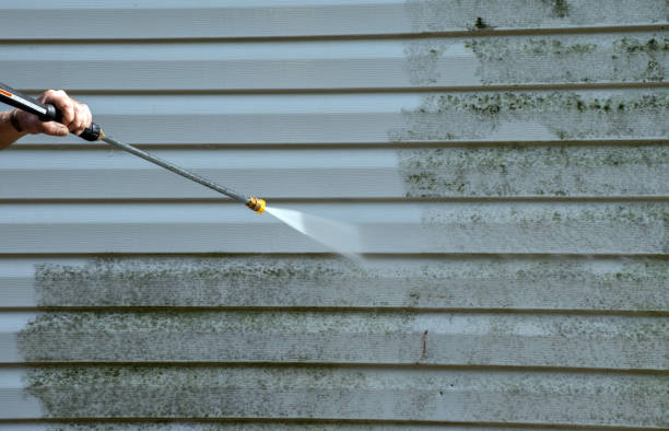 Local Pressure Washing Services in Old Jefferson, LA